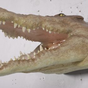 CROC HEAD MOUTH OPEN JR 190049