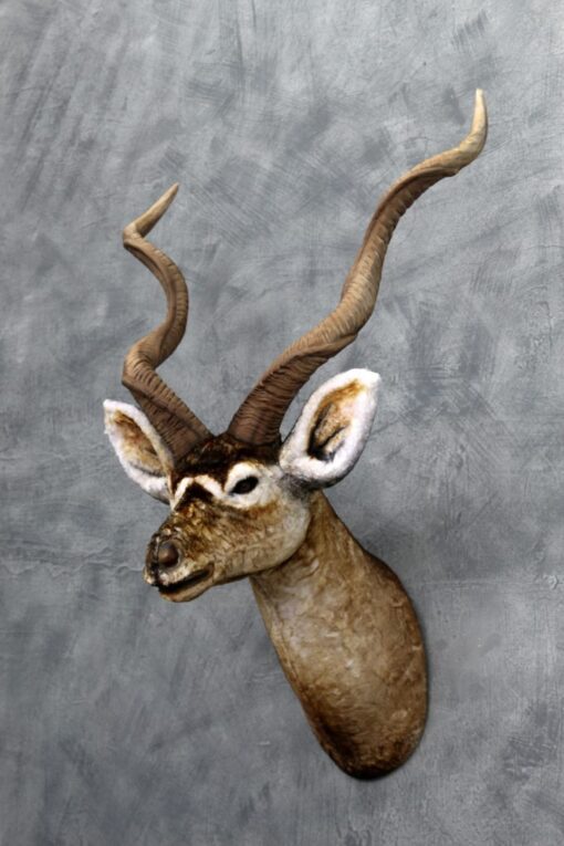 KUDU HEAD JR 3018 - Image 3