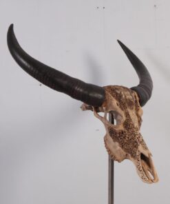 Ivory Skull #3 | JR 0031