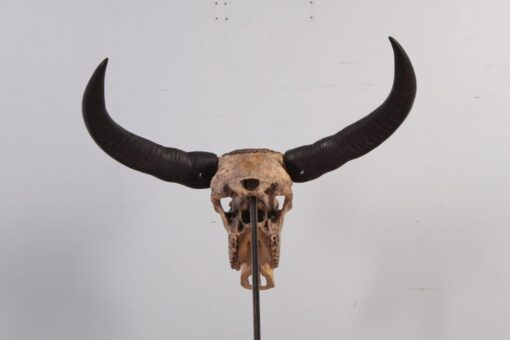 IVORY SKULL 3 JR 0031 - Image 4