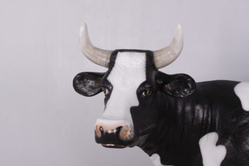 COW - HEAD UP JR 0049 - Image 3