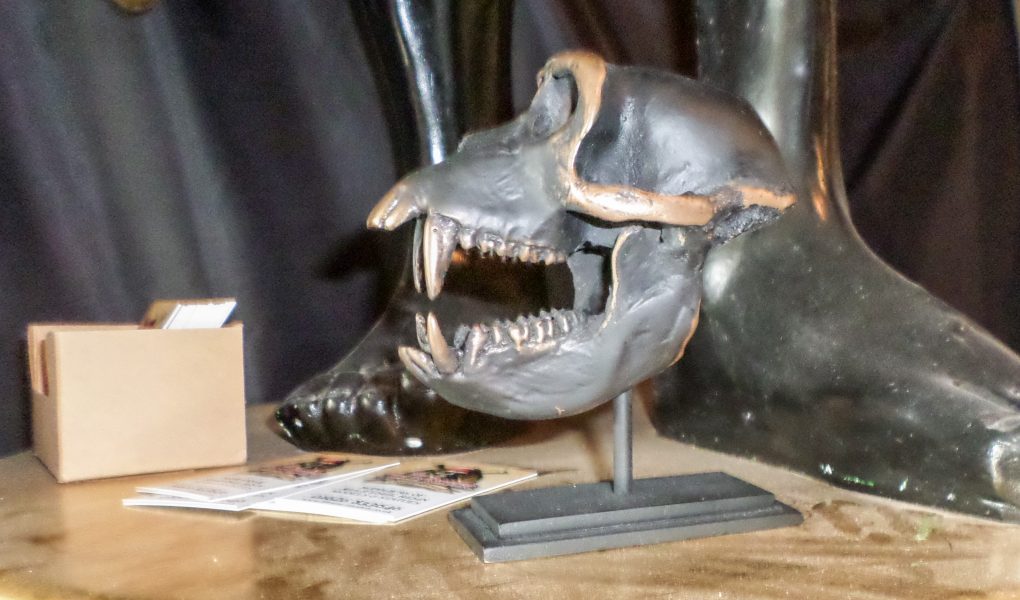 Macaque Skull on Base - Bronze Effect | JR 160178