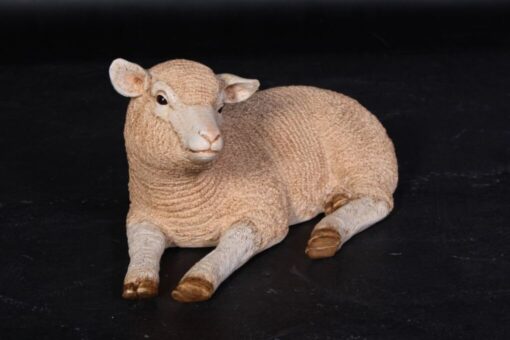 MERINO LAMB RESTING JR 110012 - Image 2