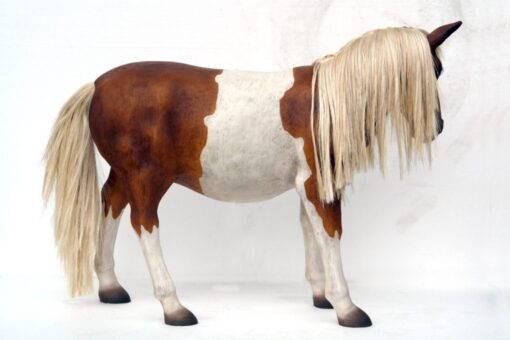 SHETLAND PONY JR 2485 - Image 6