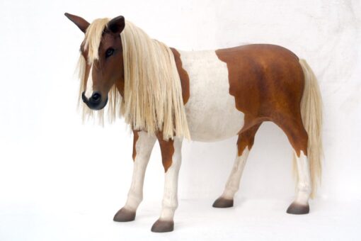 SHETLAND PONY JR 2485 - Image 5