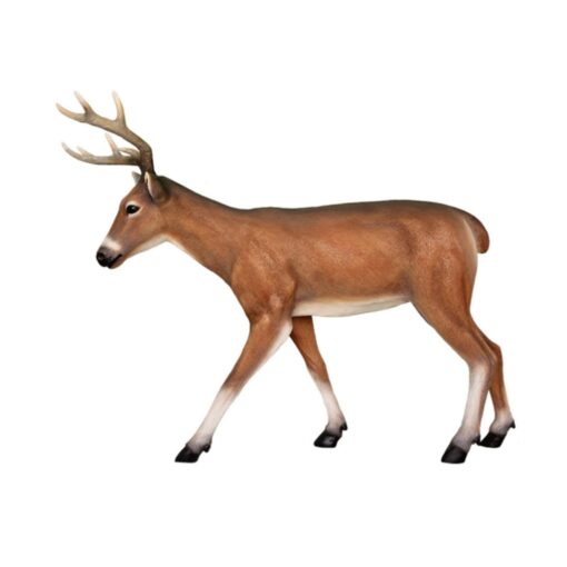 YOUNG DEER JR R-001