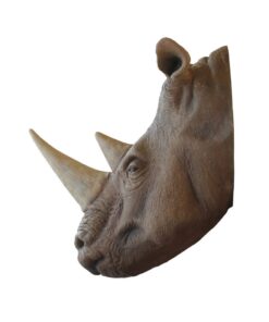 Alternative view of Rhinoceros Head | JR R-031