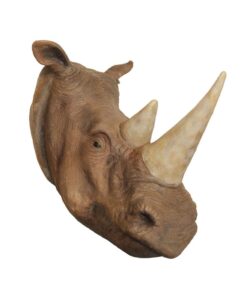 Rhinoceros Head | JR R-031