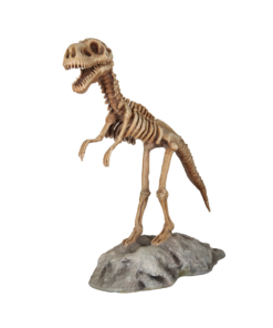 Alternative view of Dinosaur Skeleton | JR R-047