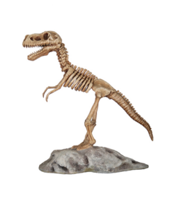 Dinosaur Skeleton | JR R-047