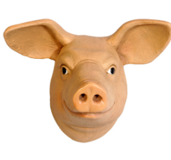 Pig Head | JR 0027