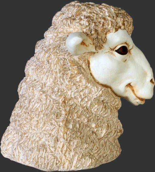 MERINO SHEEP HEAD JR 110045 - Image 3