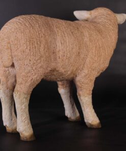 Standing Merino Lamb 100051