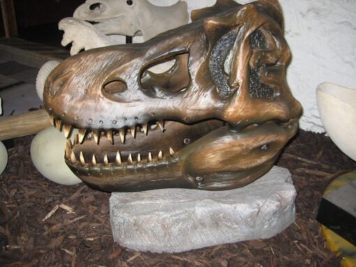 T REX SKULL HEAD JR 2440