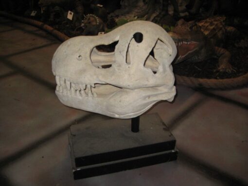 T REX SKULL JR 100502 - Image 3