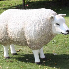 TEXELAAR SHEEP HEAD UP JR 100022