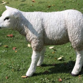 TEXELAAR LAMB STANDING JR 100024