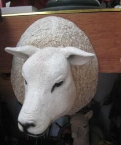 TEXELAAR SHEEP HEAD JR 0028