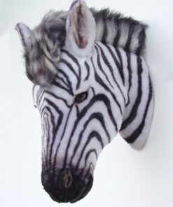 Zebra Head | JR 2116