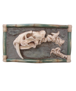 Dino Skeleton Head - With Tooth | JR R-085