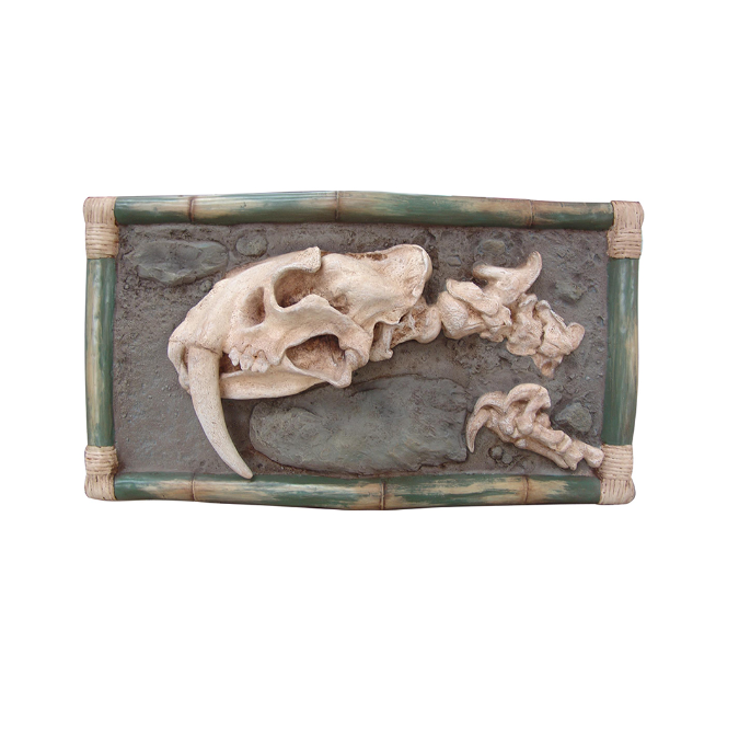 Dino Skeleton Head - With Tooth | JR R-085