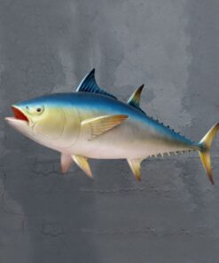 Blue Fin Tuna | JR 3338