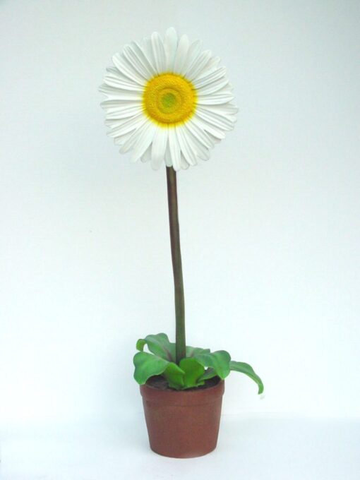 DAISY 6FT JR 2200