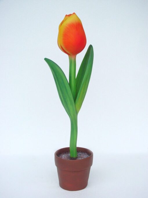 TULIP 3FT JR 2202