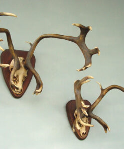 Alternative view of Antler Wall Mount | JR 8026