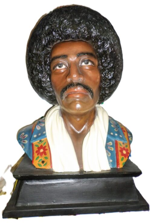 JIMMY HENDRIX BUST JR IQ