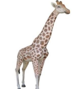 GIRAFFE 8FT JR R-323