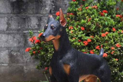 STANDING DOBERMAN JR 240189 - Image 7