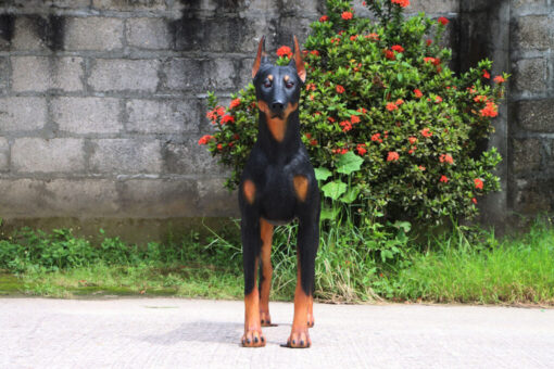 STANDING DOBERMAN JR 240189 - Image 5