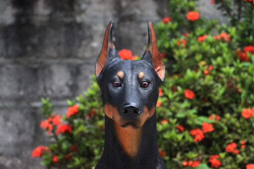 STANDING DOBERMAN JR 240189 - Image 4