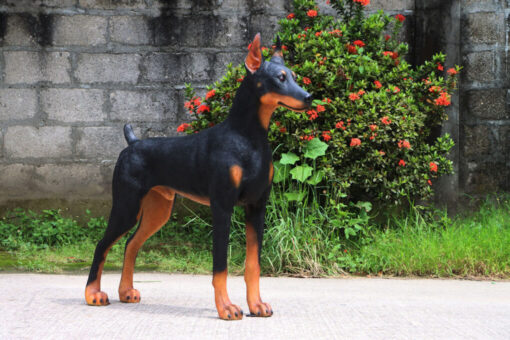 STANDING DOBERMAN JR 240189