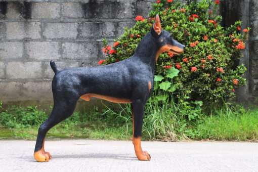 STANDING DOBERMAN JR 240189 - Image 2