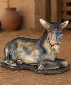 Donkey Lying | JR 1838