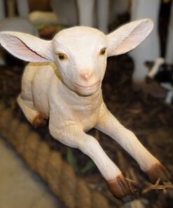 GOAT KID LYING JR 3369