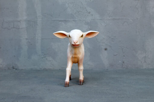 GOAT KID STANDING JR 3368 - Image 4