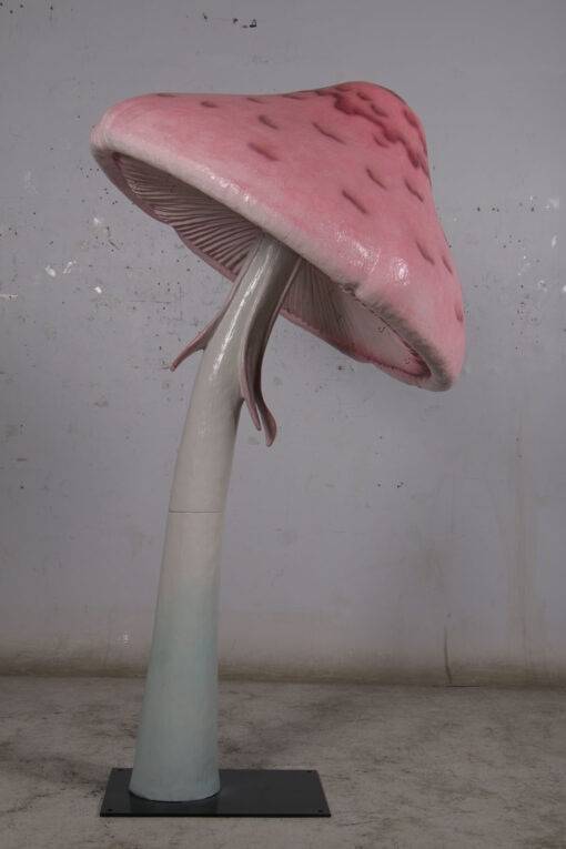 PARASOL MUSHROOM JR 190095 - Image 2