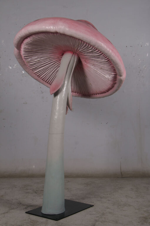 PARASOL MUSHROOM JR 190095 - Image 4