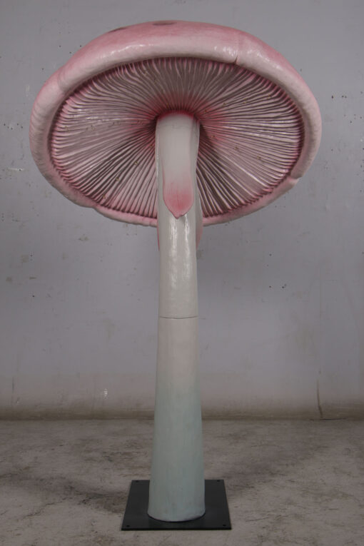 PARASOL MUSHROOM JR 190095 - Image 3