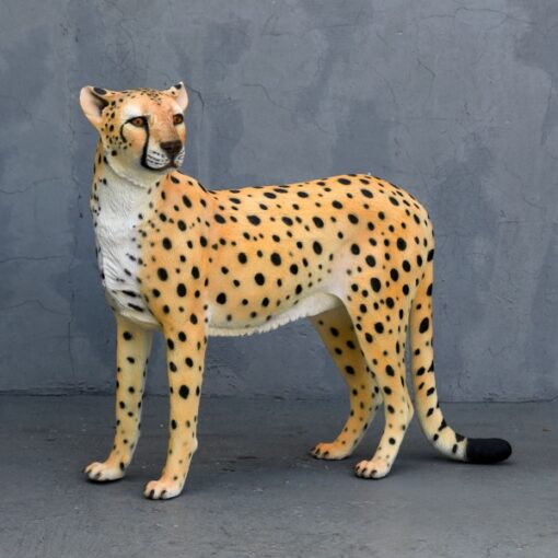 CHEETAH - JR 3479