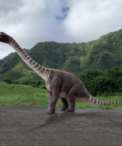 RHOETOSAURUS BROWNEI -LIFE SIZE JR 230092