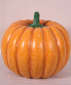 PUMPKIN 70CMS JR 250059