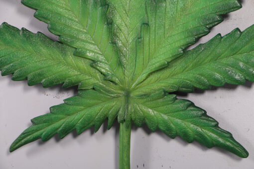 CANNABIS LEAF JR 150020 - Image 4