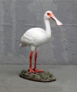 ROYAL SPOONBILL JR 3474