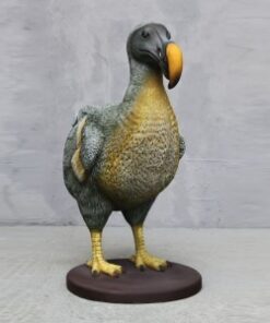 DODO JR 3425