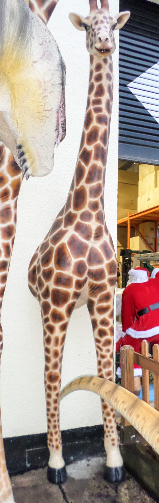 GIRAFFE BREAKING OUT  JR 140119 - Image 2