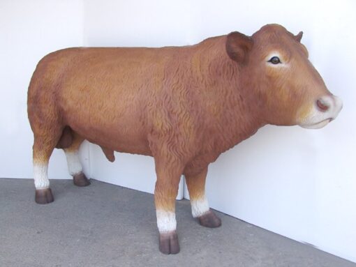 BLACK ANGUS BULL JR 2300 - Image 2